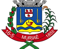 Muriaé-MG